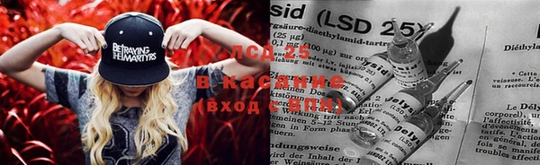 стафф Нея