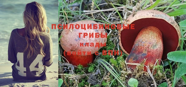 Альфа ПВП Нефтегорск