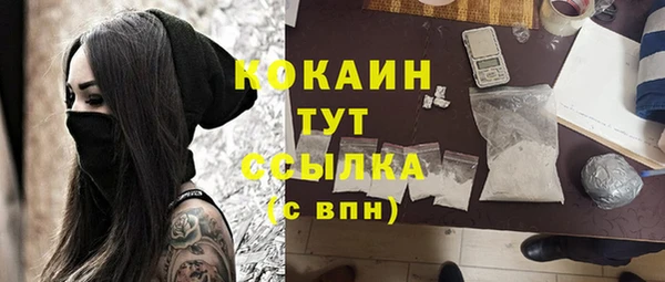 первитин Новозыбков