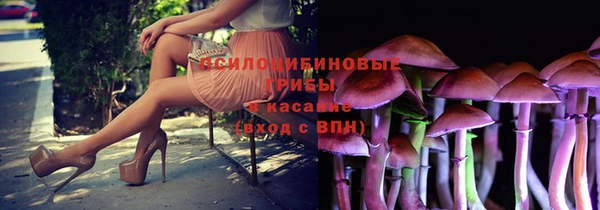 не бодяженный Нефтекумск