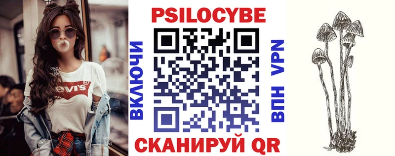 Галлюциногенные грибы Psilocybine cubensis  Палласовка 